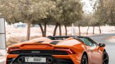 Rent Lamborghini Huracan Spyder in Dubai back